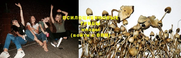бутират Киреевск
