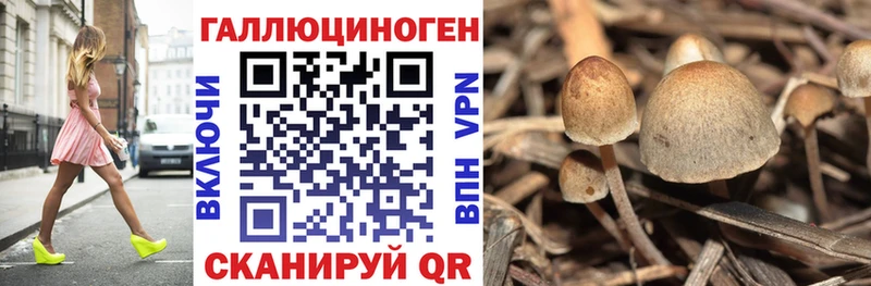 Галлюциногенные грибы Cubensis площадка формула Калуга