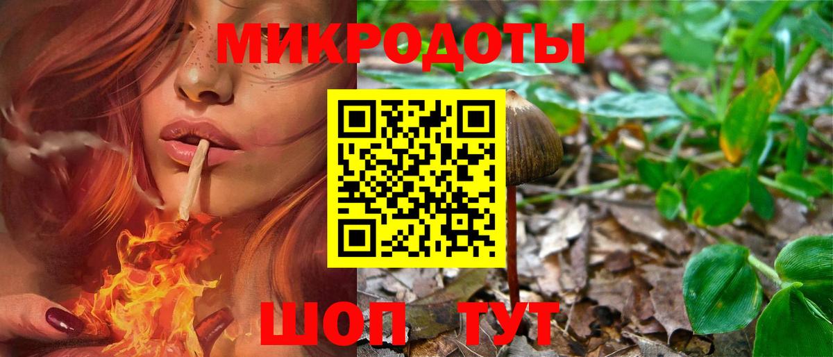 Псилоцибиновые грибы мицелий Калуга