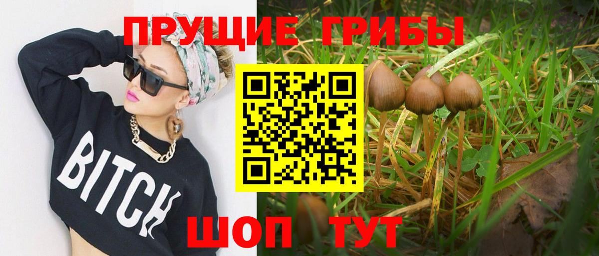 Галлюциногенные грибы Cubensis  Псилоцибиновые грибы ЛСД  Калуга  Вход с VPN 